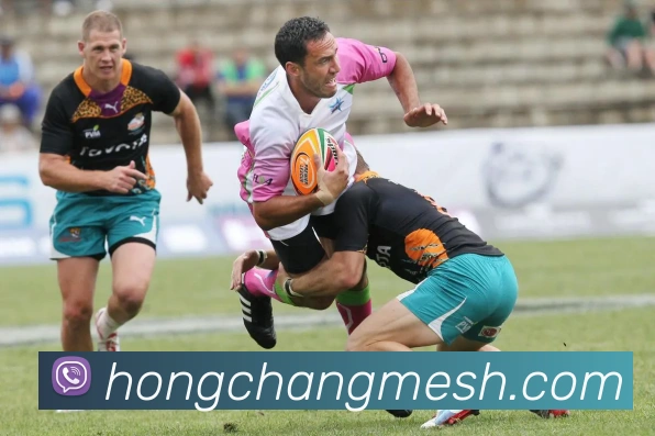 hongchangmesh 公司平台生态图